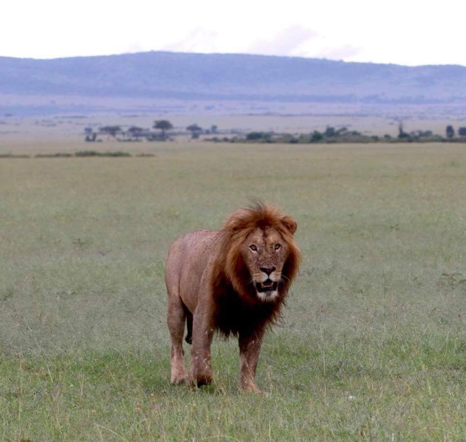 Maasai Homestay Camping Sekenani Esterno foto