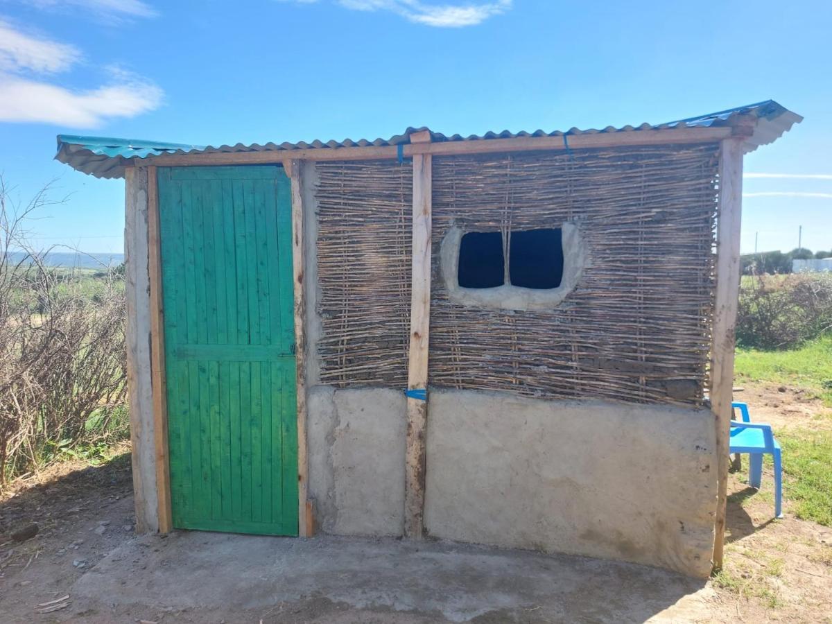 Maasai Homestay Camping Sekenani Esterno foto